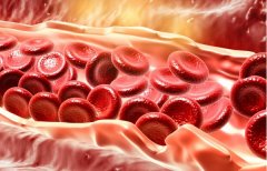 <b>生指出：适量吃猪头肉</b>